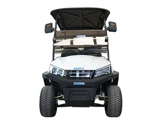 Golf Car Small VS Standard Size Which One Suits Your Course